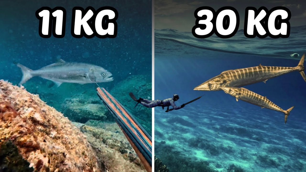 10 Disparos ÉPICOS a Peces GIGANTES - Pesca con ARPÓN