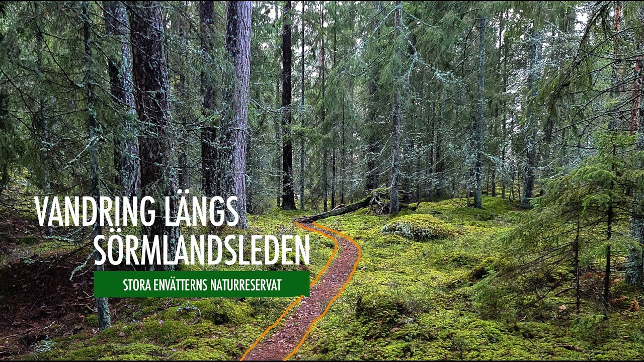 Vandring p&aring; S&ouml;rmlandsleden | Stora Env&auml;tterns Naturreservat