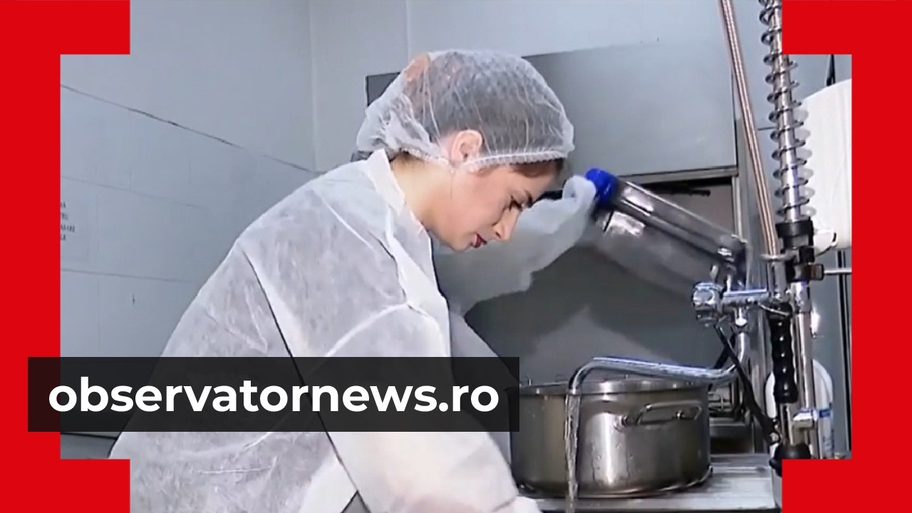 Cât câștigă studenții care lucrează în cantina universității