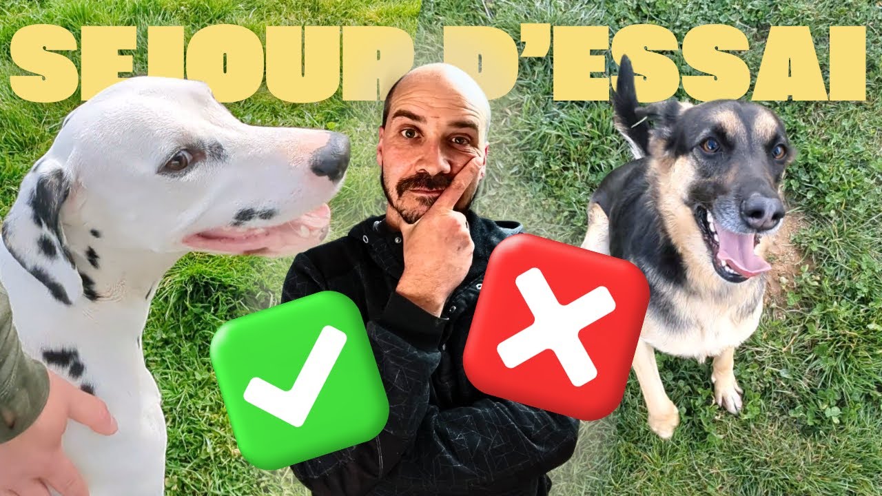 JE VOUS DÉCRIS DES SÉJOURS D'ESSAI !