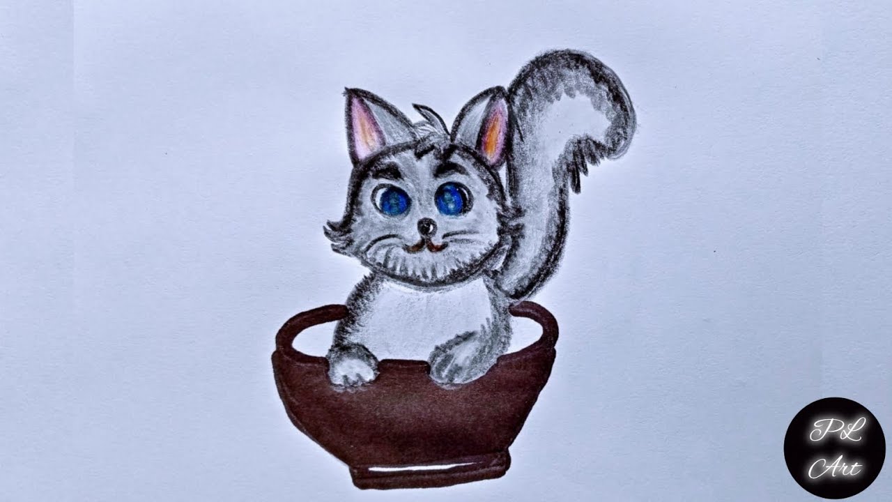 Draw a Cat 