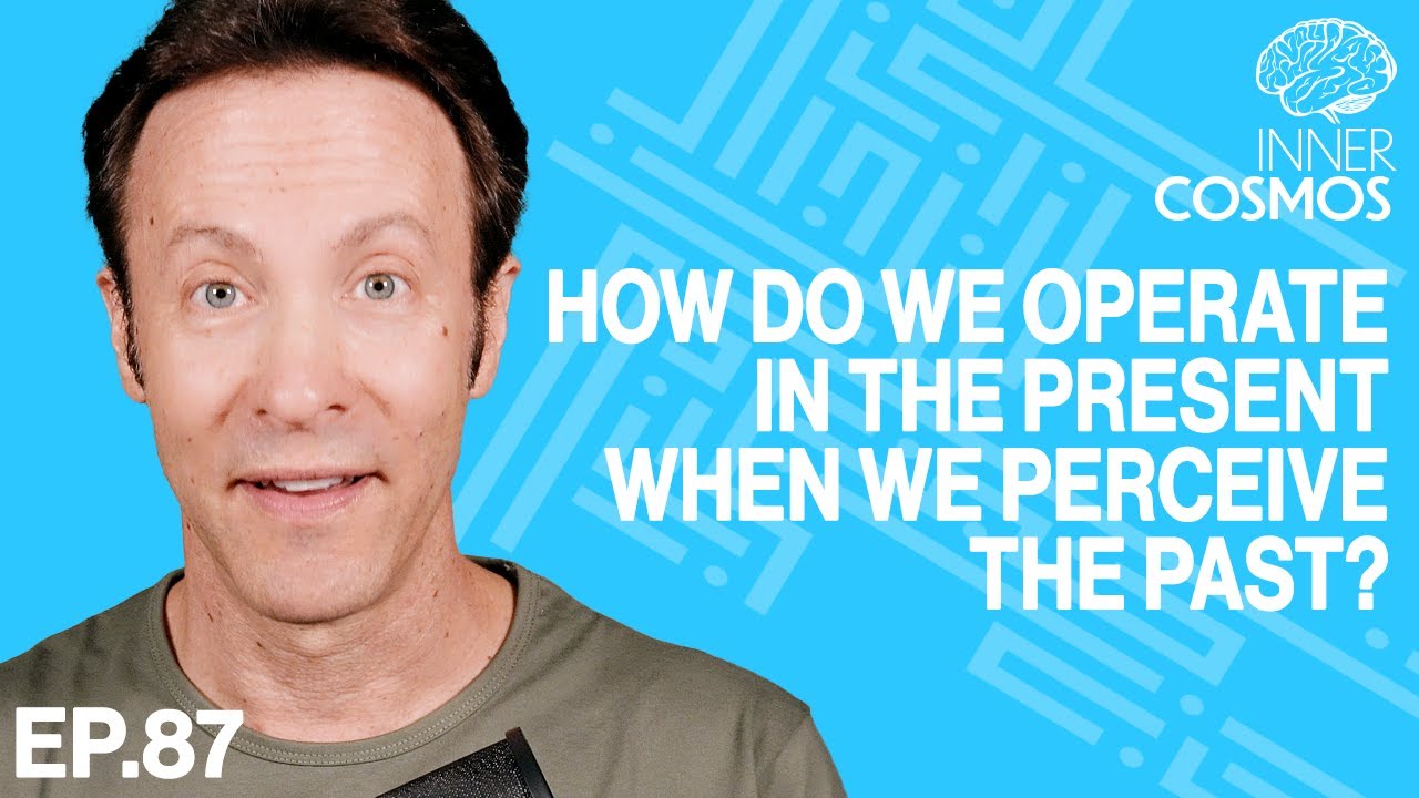 How do we operate in the present when we perceive the past? | Inner Cosmos with David Eagleman