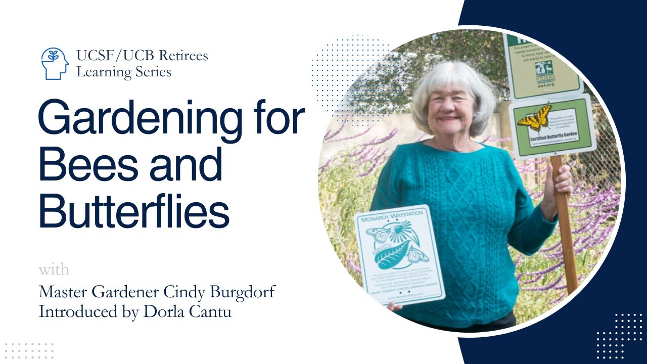 UCSF/UCB Retirees Learning Series: Gardening for Bees and Butterflies