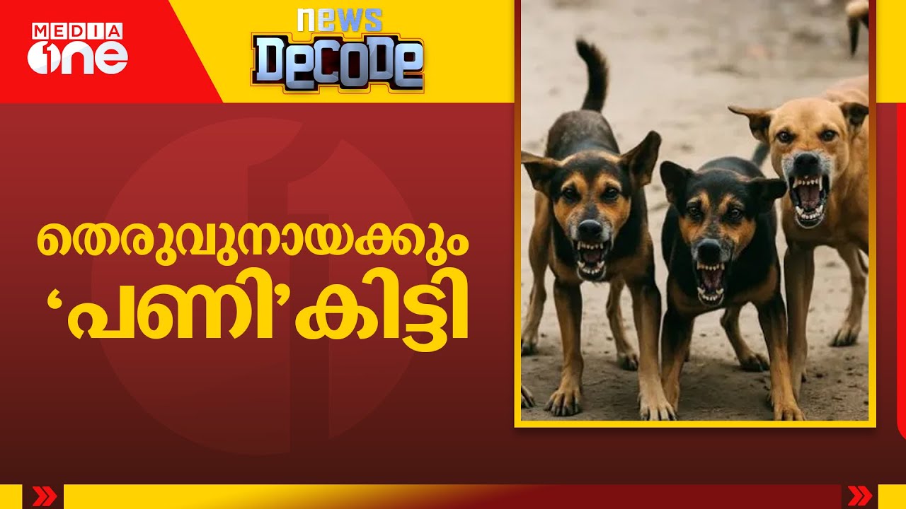തെരുവുനായ പ്രശ്‌നത്തിൽ ദേശീയനയം വേണം; സുപ്രിംകോടതിയിൽ നടന്നതെന്ത്...? | Stray Dogs | News Decode