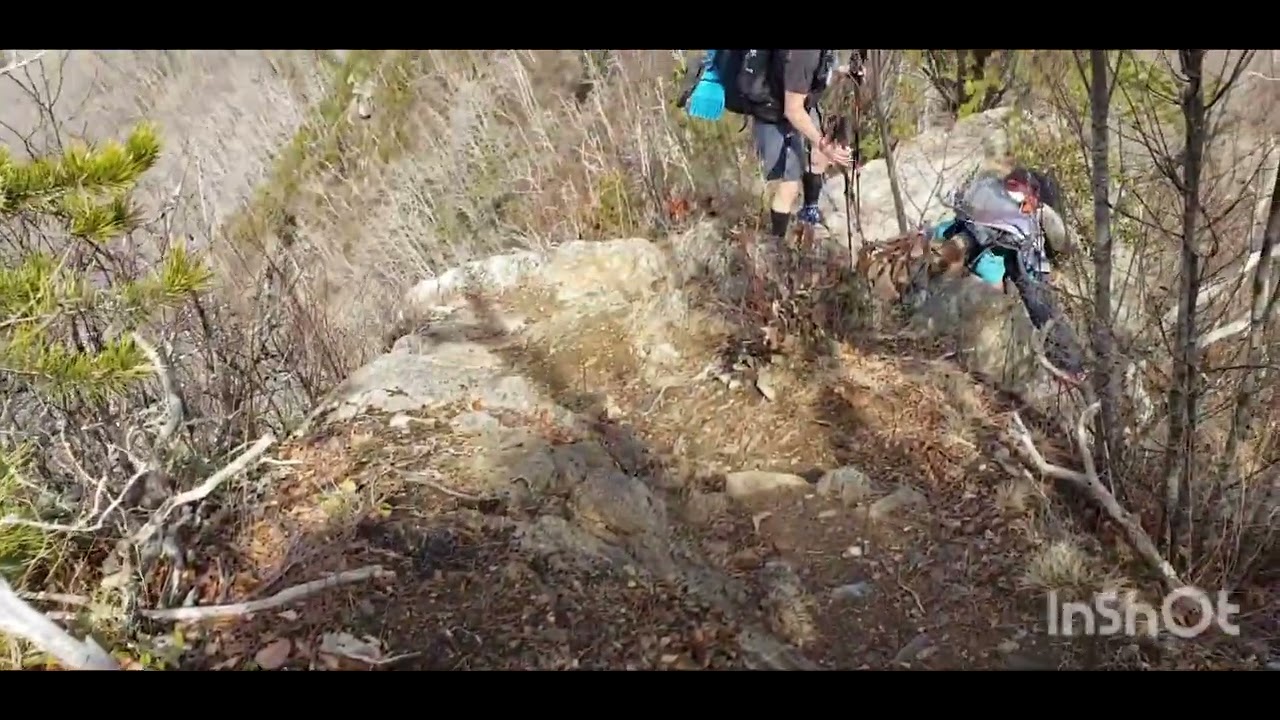 5 miles of all downhill 