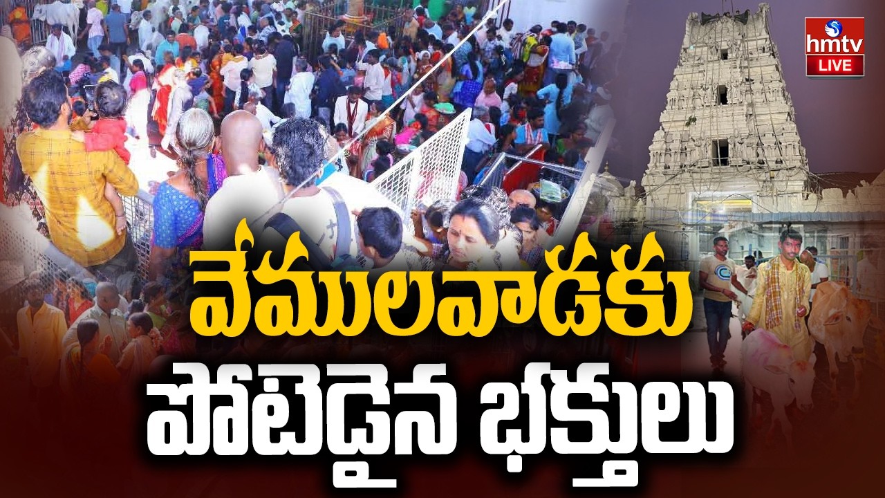 LIVE : వేములవాడకు పోటెడైన భక్తులు |Mahashivratri Celebrations At Vemulawada Temple | hmtv