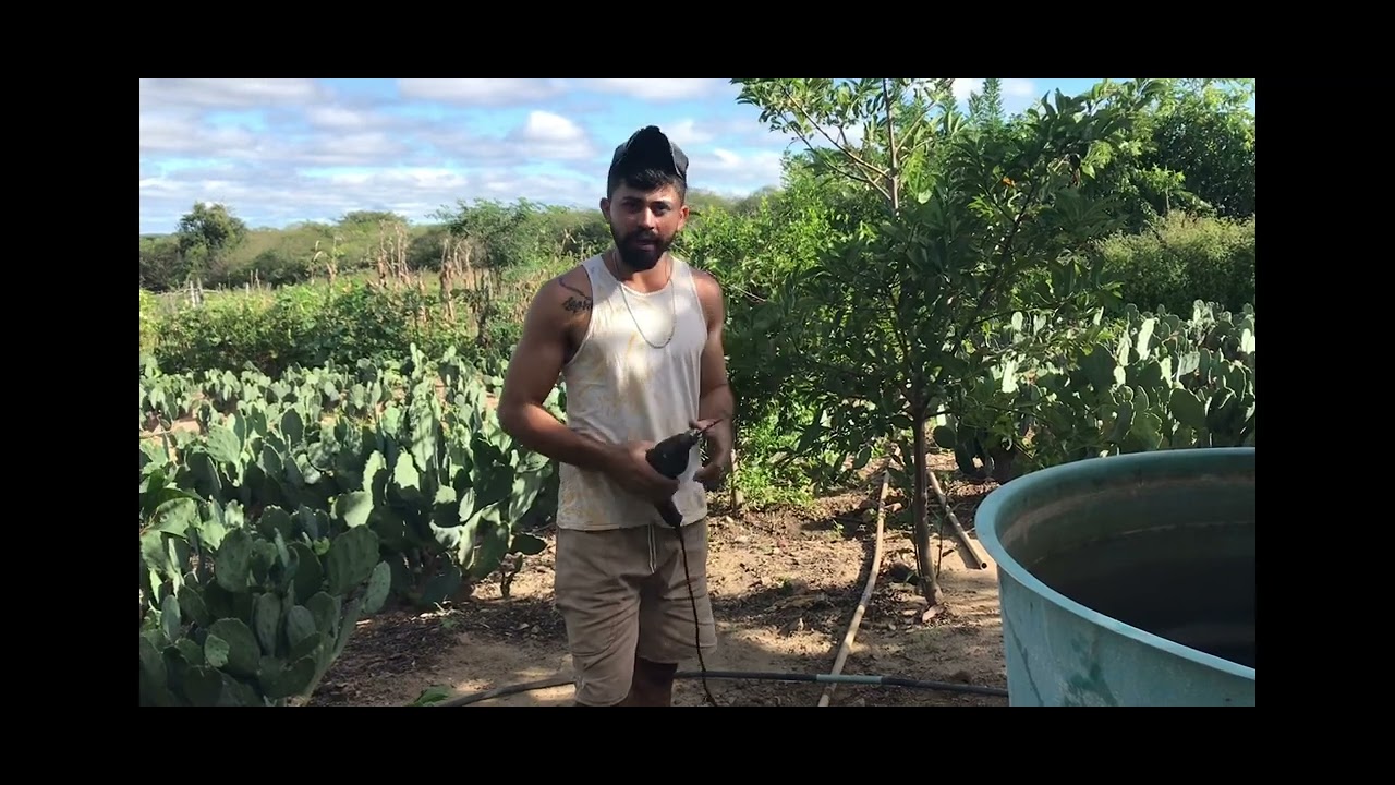 GOTEJAMENTO na PALMA mais um  PROJETO EXEcutado!