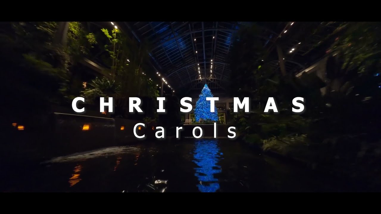 Kael jenmiththa raayarkkae & Piranthaar piranthaar | TAMIL CHRISTMAS CAROLS | KING DAVID Official