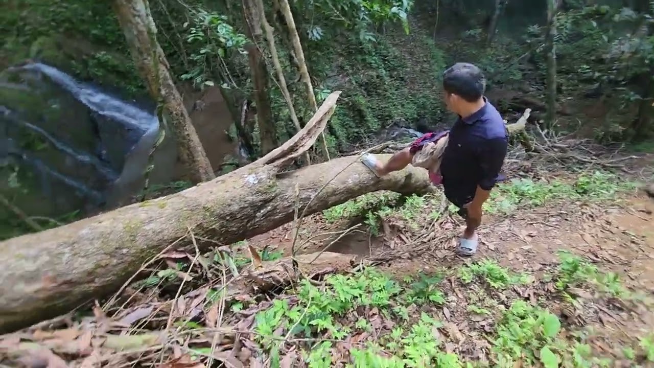 Umswai Valley [Umpanai Village 12 Steps Waterfall] Visit during PYF Youth Camp, 2024