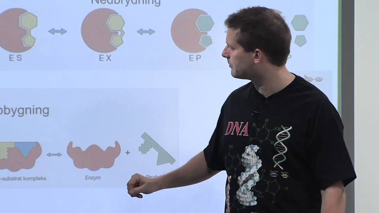 Biologi C - Fysiologi - Enzym