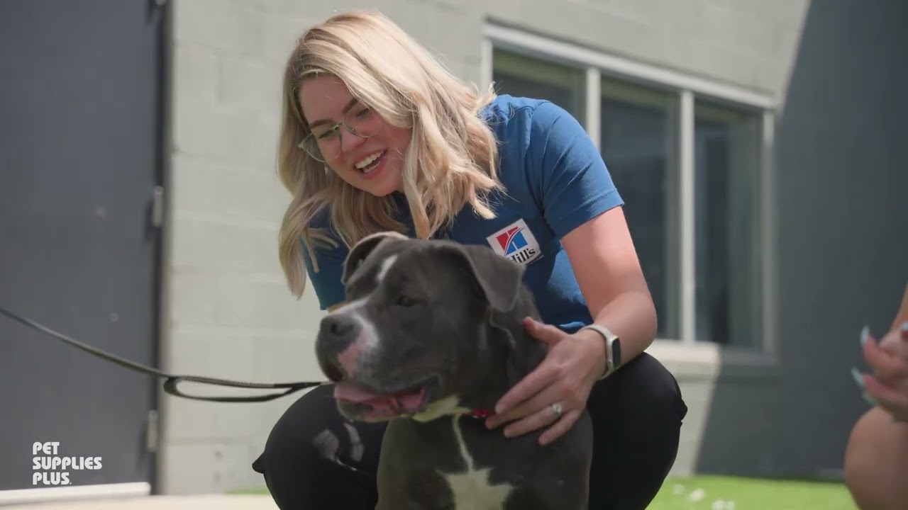 A Look Back at the 2025 Shelter Shoutout Journey