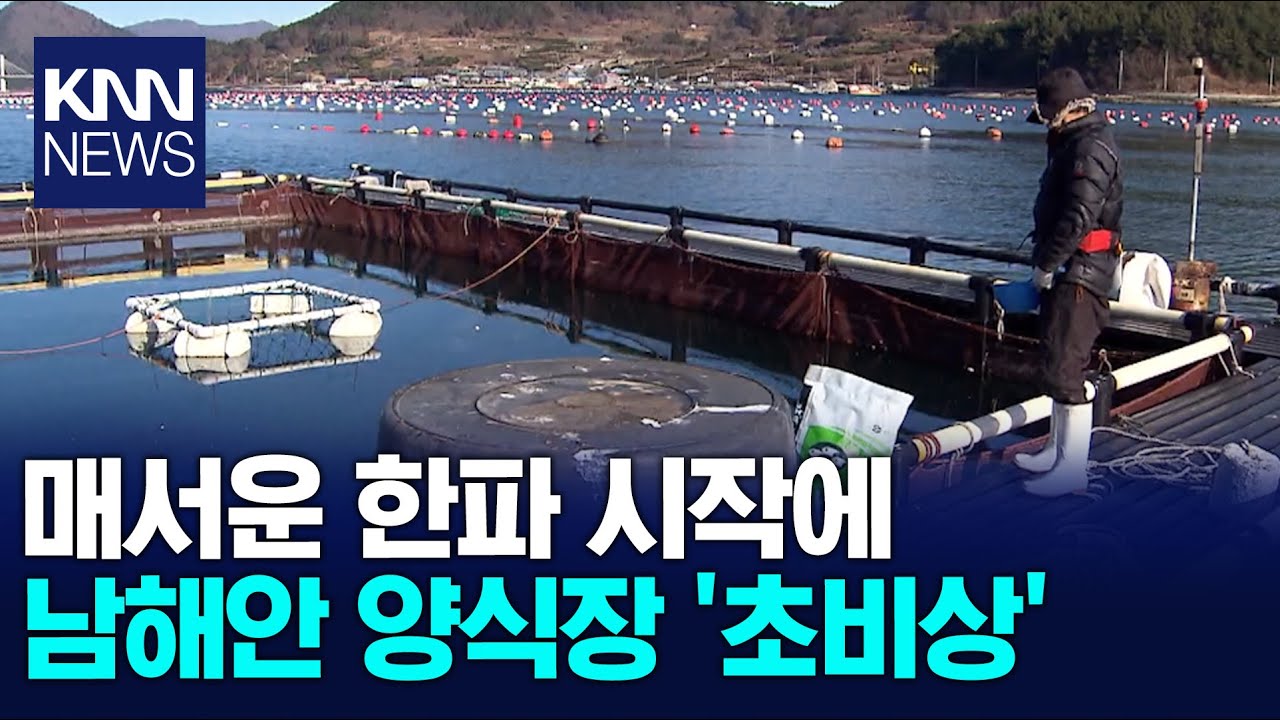 저수온에 남해 양식서 폐사 반복.. 올해는? / KNN