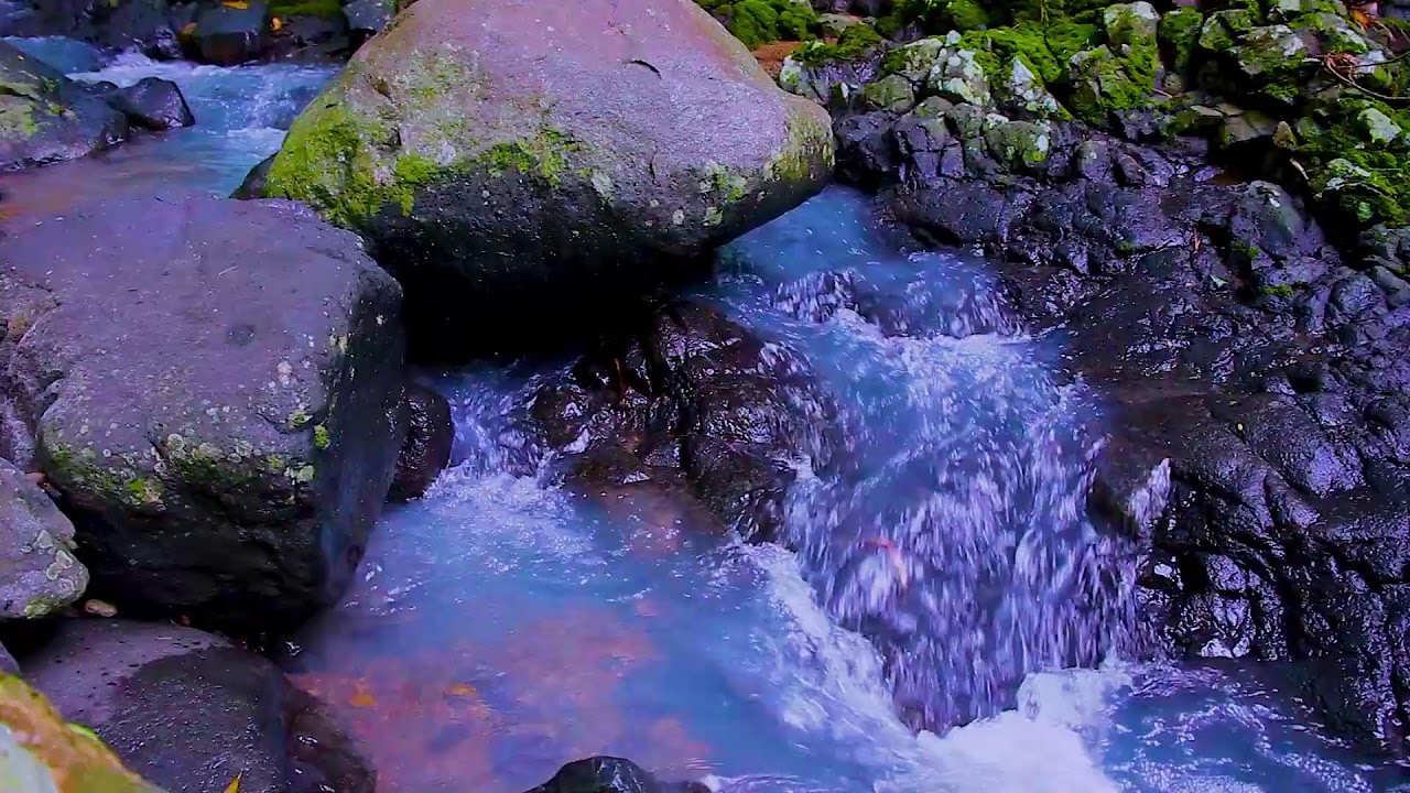 Mountain River Calm Escape | Flowing Water Sounds for Stress Relief and Relaxation