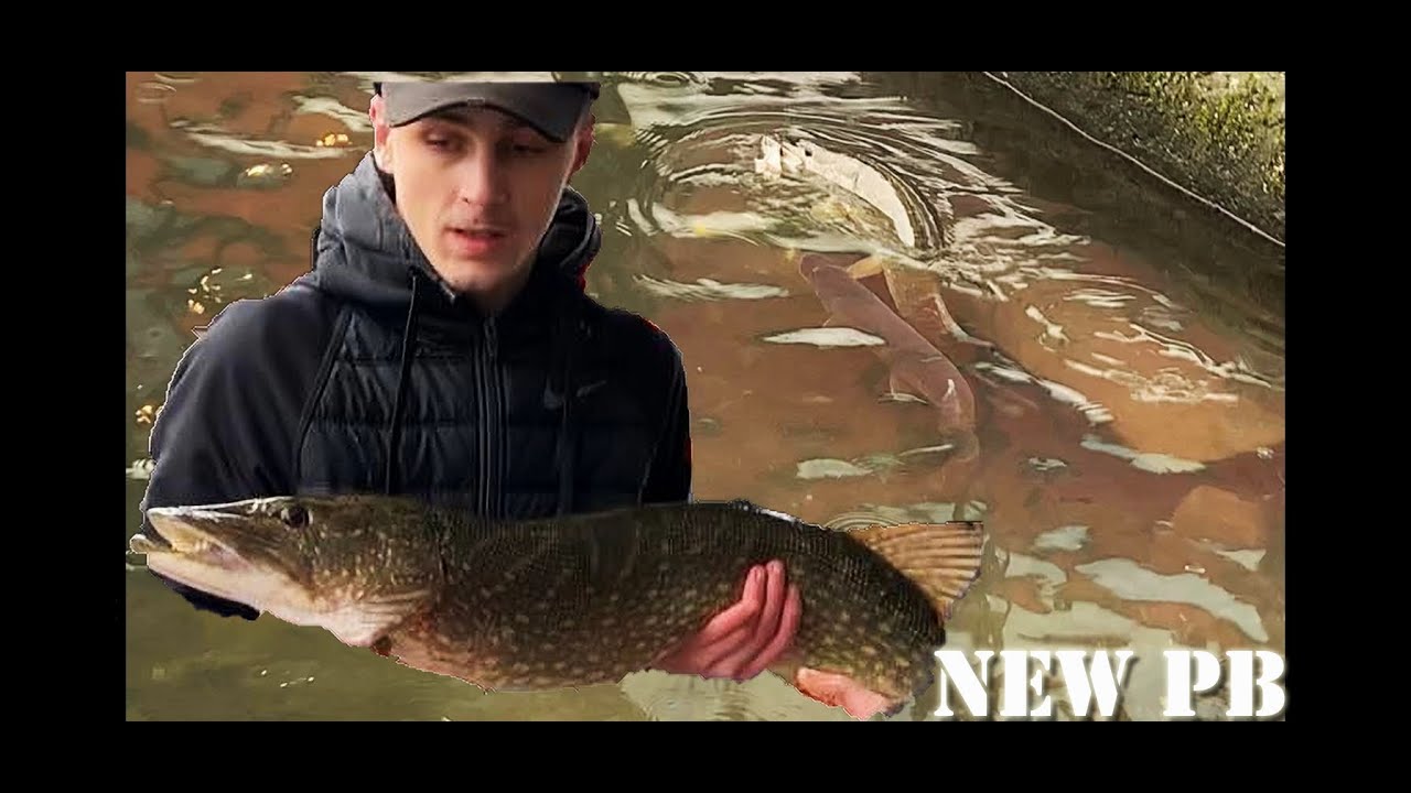 1 Bait 2 BIG PIKE  (NEW PB)