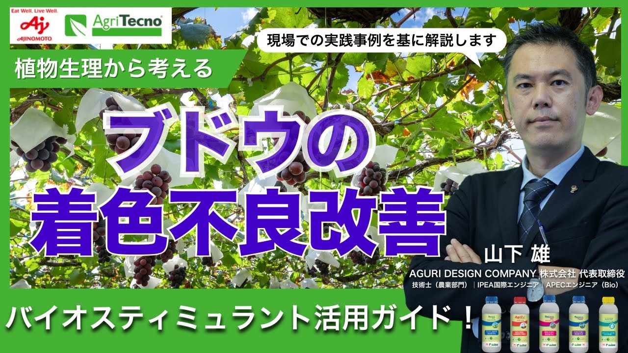 ブドウ栽培者必見！近年特に問題になっている着色不良の改善方法を現場での実践を基に徹底解説！