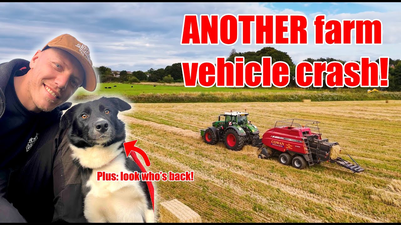 Things Went Wrong Fast… JCB Crash! Our Collie Pup Meg Comes Home