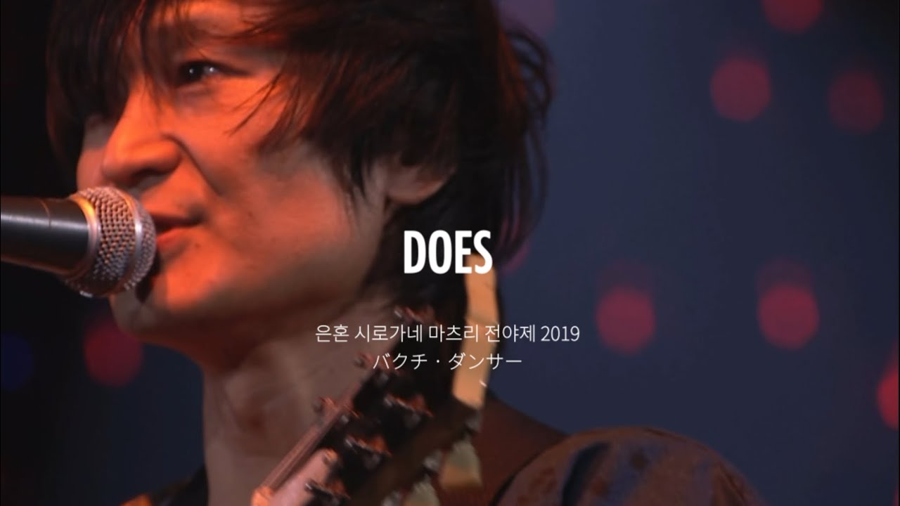 DOES - バクチ・ダンサー (질주 댄서) | 은혼 시로가네 마츠리 전야제 2019