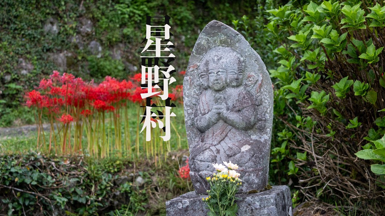 【４K 風景動画】日本の原風景　福岡から１時間３０分　棚田とお茶のふるさと星野村を訪ねて　棚田の彼岸花と八女茶を楽しむ