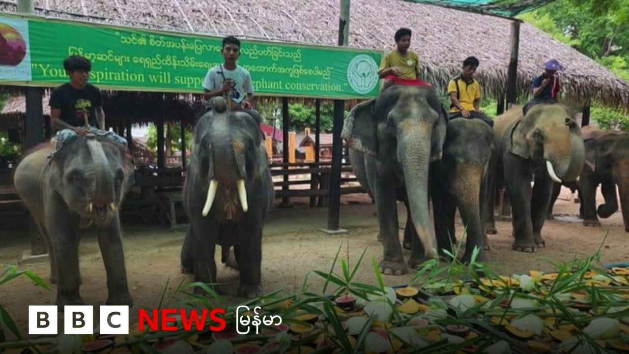 ပုဂံ ပြန်ပေးဆွဲမှု ဆင်စခန်း ပိတ်ရတဲ့ အခြေအနေထိရောက်လာ - BBC NEWS မြန်မာ
