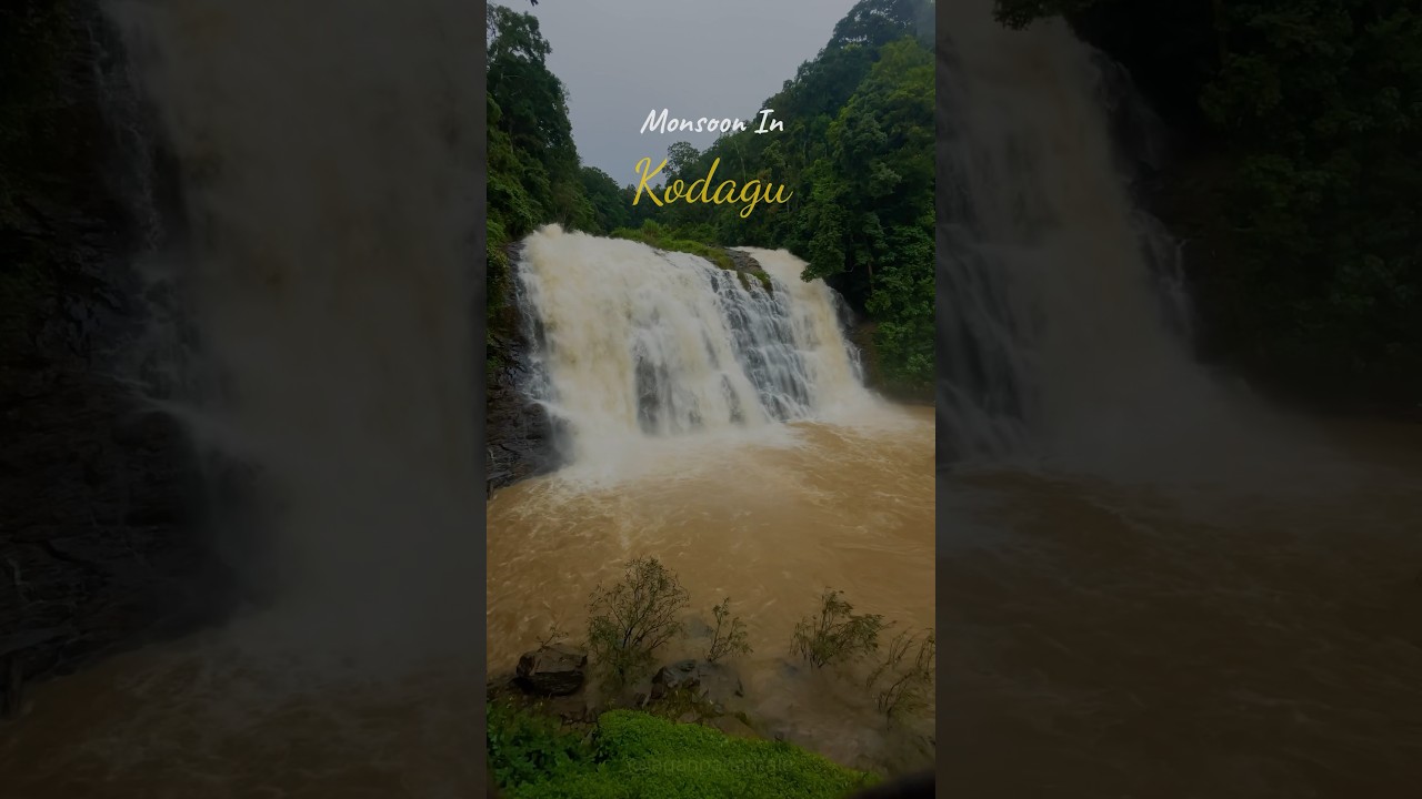 Monsoon In Kodagu #coorg #monsoon #rain