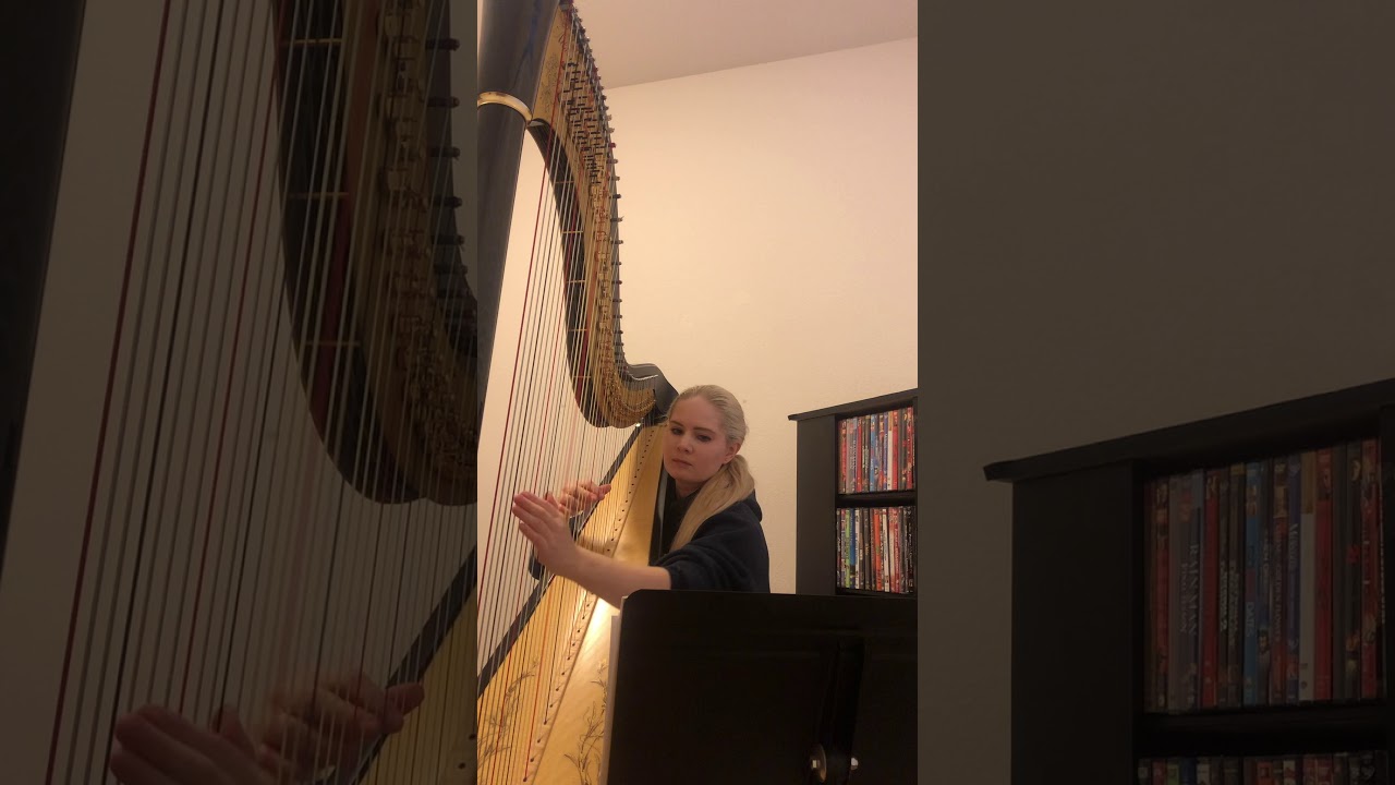 Winter Was Warm (Harp Cover)