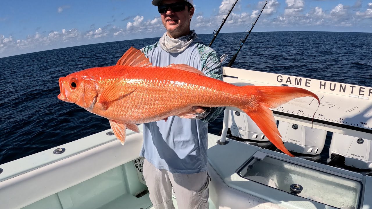 40 Hours at Sea For The MOST Giant Queen Snappers at Pulley Ridge!!