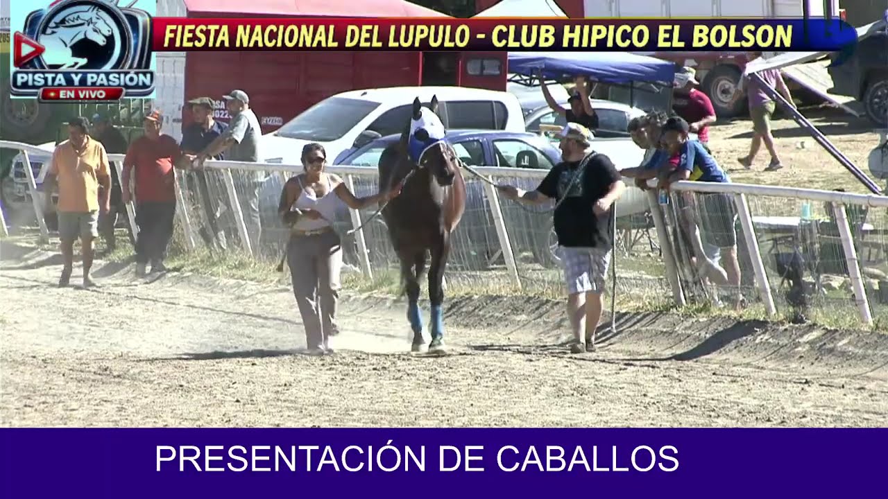 presentacion de caballos - bolson