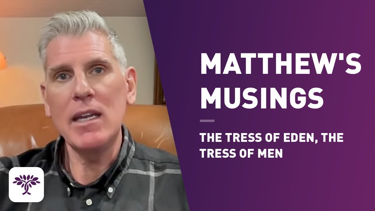 Matthew's Musings, The tress of Eden, the tress of men.