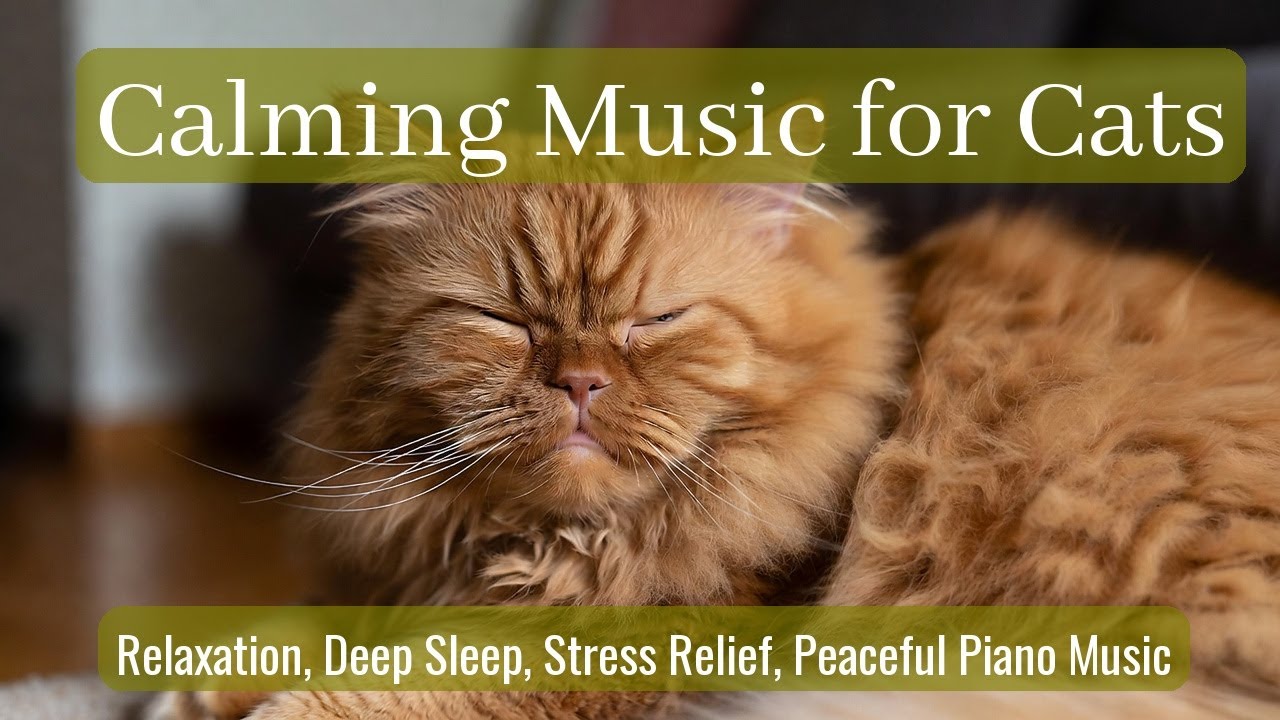 Calming Music for Cats - Relaxation, Deep Sleep, Stress Relief, Peaceful Piano Music | Season 87