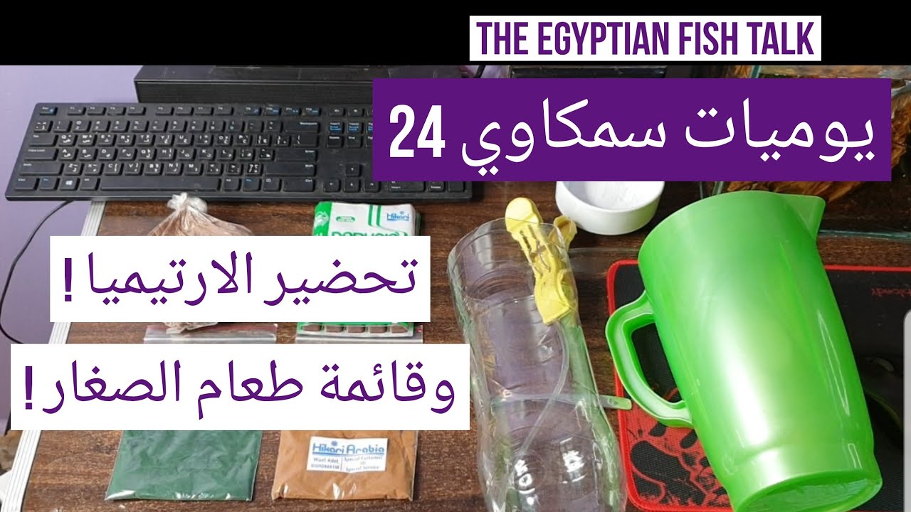 يوميات سمكاوي 24 - تحضير الارتيميا - وقائمة طعام الصغار !