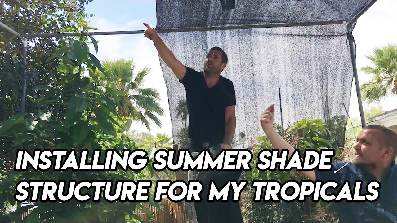 Ep163 - Installing Summer Shade Structure for My Tropicals