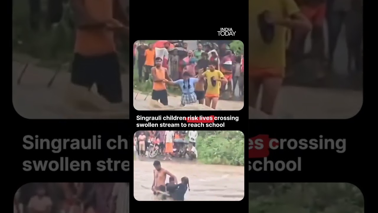 MP Schoolchildren Risk Lives Crossing Swollen Stream Amid Heavy Rains In Singrauli #viralvideo