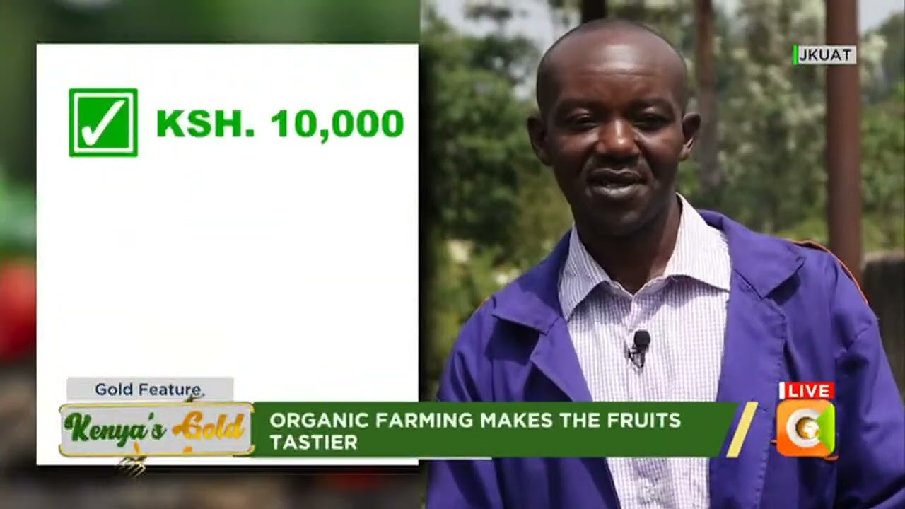 | Kenya's Gold | Strawberry Farming - Gold Feature