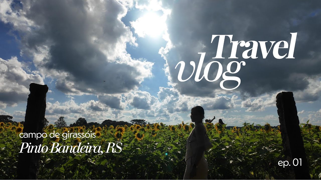 corrida do dia + viagem e hospedagem em uma vinícola no rio grande do sul com campo de girassóis