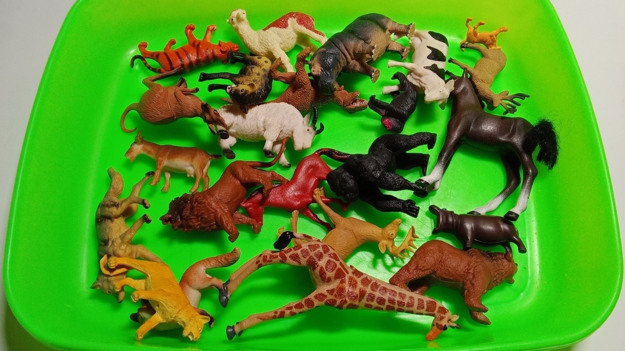 Discover the Ultimate ASMR Animal Kingdom: Realistic Figurines & Satisfying Taps! 🐾✨