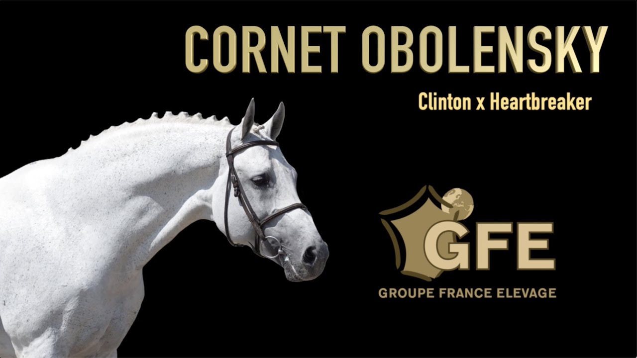 Cornet Obolensky - 2020
