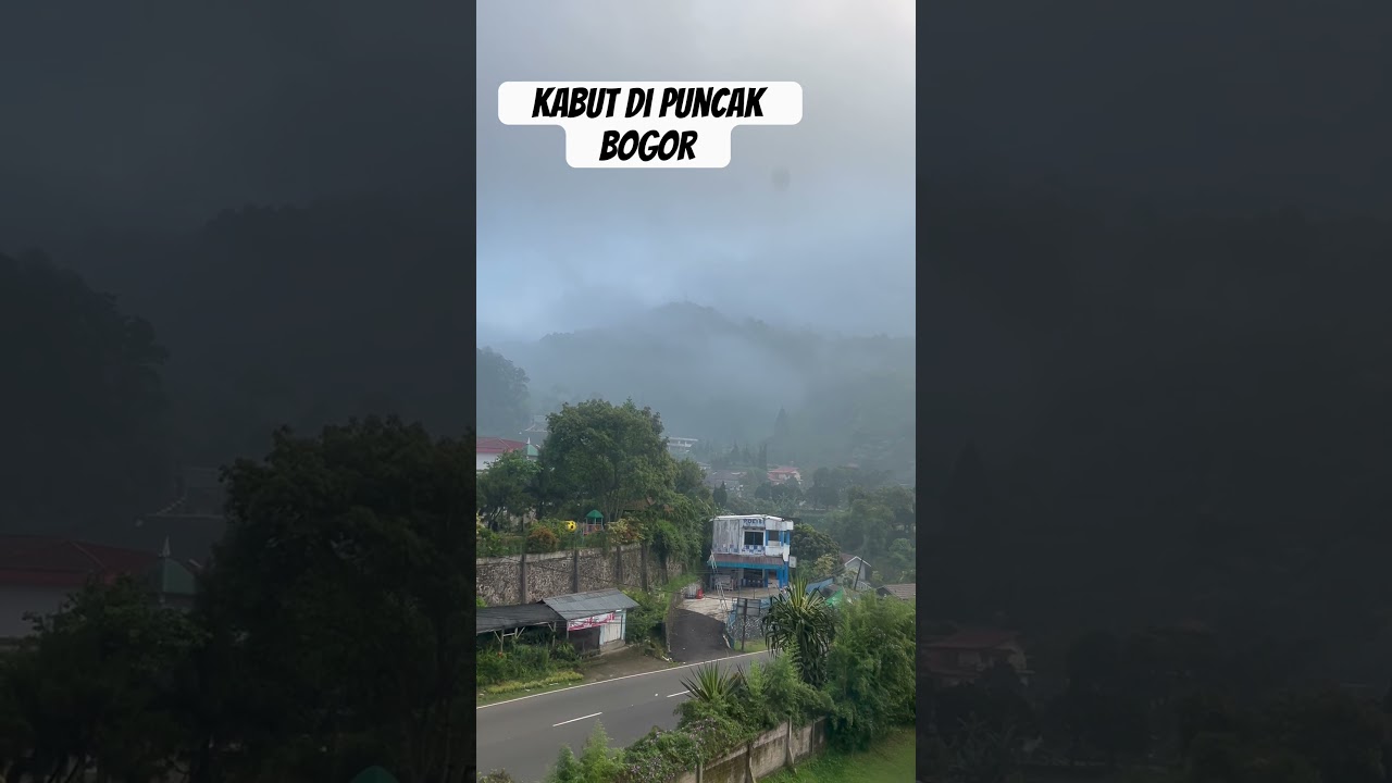 Kabut Puncak Bogor #music #love #travel #edm #2024