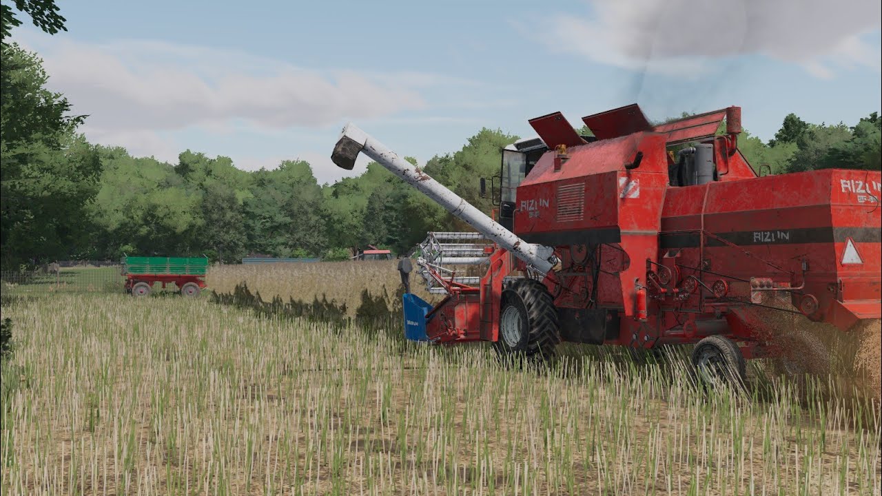 Żniwa 🌾 rzepaczane ☘️ na Łaźnikach | Zetor, ursus, Bizon w akcji | FS 22
