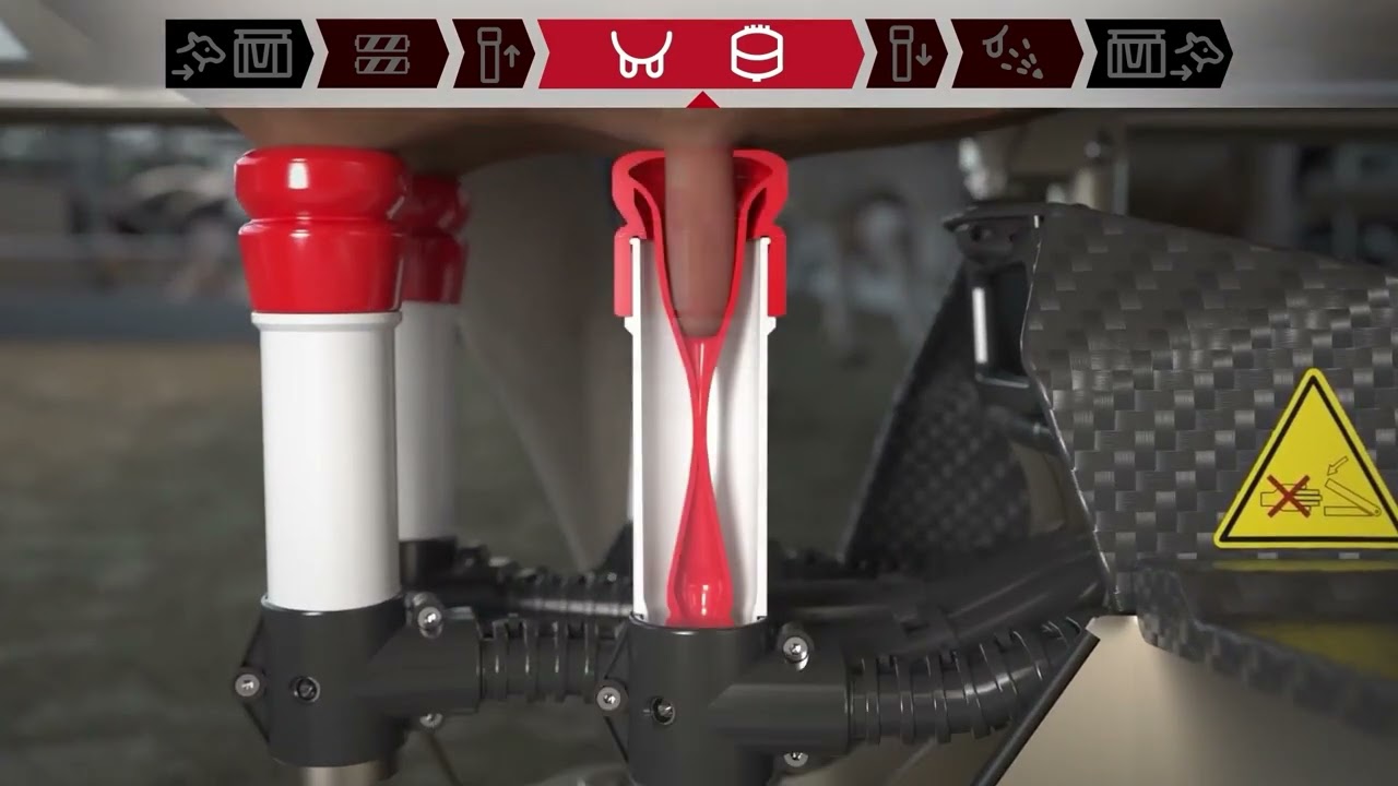 Die Kunst des Melkens mit dem Lely Astronaut