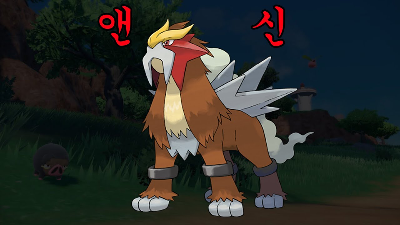 보급형 칠색조 