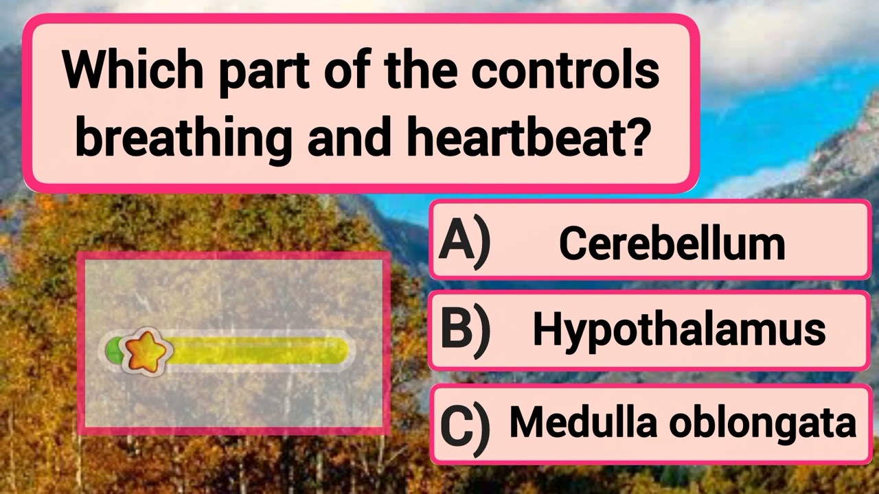 Quiz questions Country quiz World quiz general knowledge questions test your knowledge 