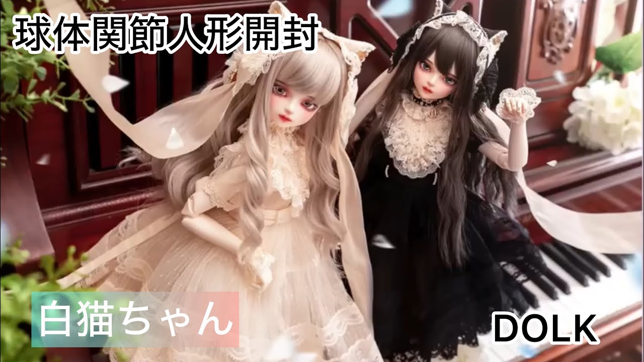 初めての球体関節ドール⭐️白猫ちゃん⭐️DOLK