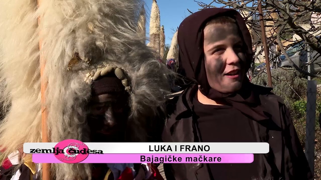 Bajagićke mačkare 2024.
