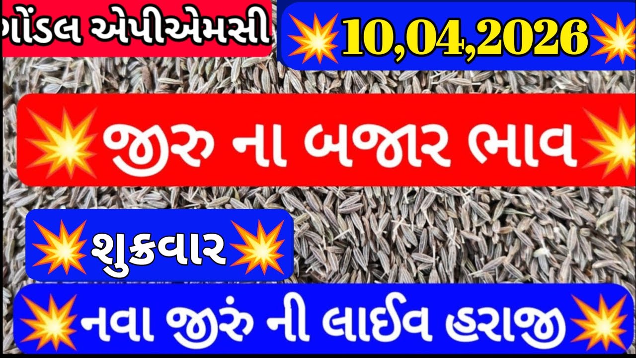 jeera na bajar bhav | જીરા ના બજાર ભાવ | Cumin Market Price | ગોંડલ માર્કેટ યાર્ડ ના ભાવ  10,04,2026