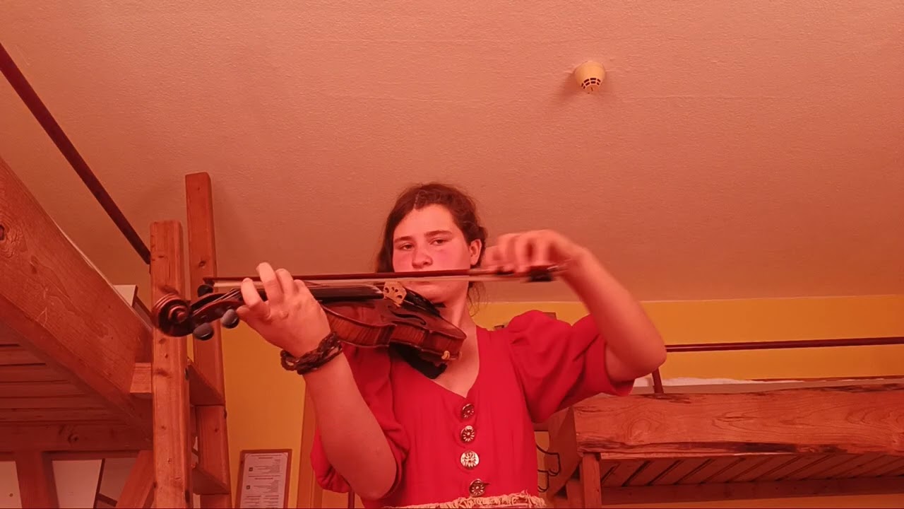 Wildgänse
