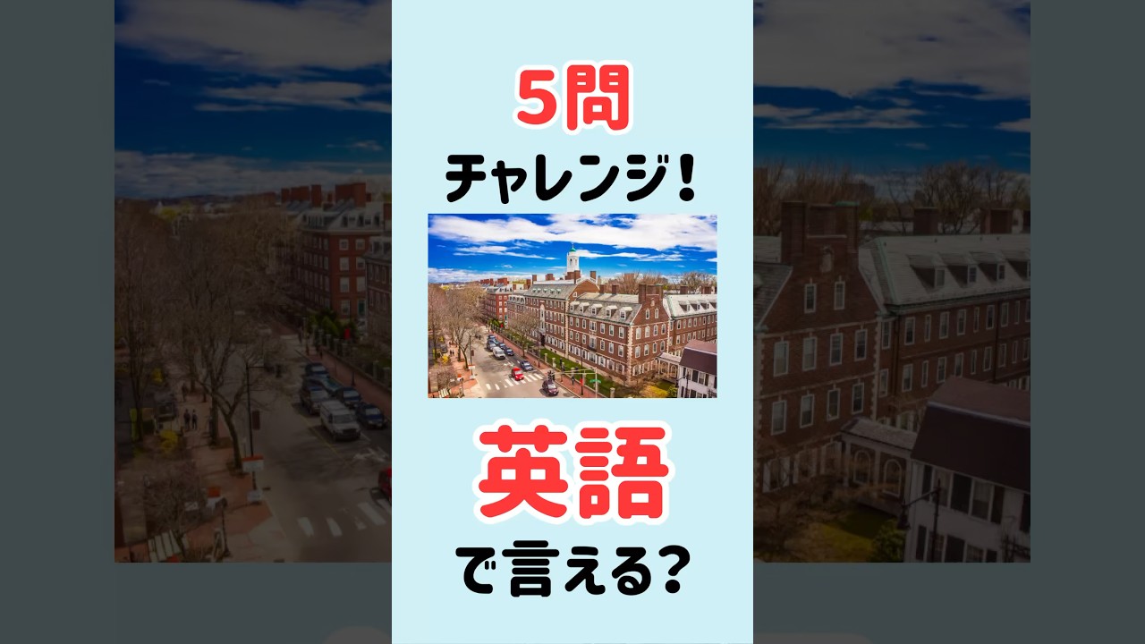 【これ全部英語で言える？】5問英会話｜ネイティブがまず最初に学ぶ「簡単なひとこと英会話フレーズ」26～30 #MimiListening #英語リスニング #英語聞き流し #英語学習
