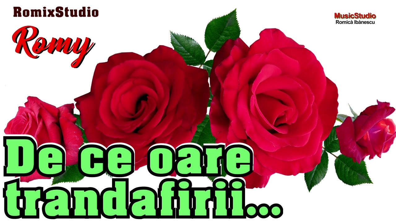 Romica Ibanescu - De ce oare trandafirii se scutura toamna ▶️ Spune omule de ce ✅ ASCULTARE 2024]