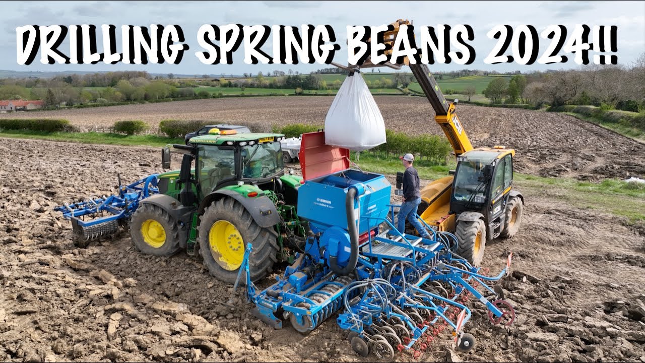 PLOUGHING & DRILLING SPRING BEANS 2024! JUST FOUND THIS VIDEO!!
