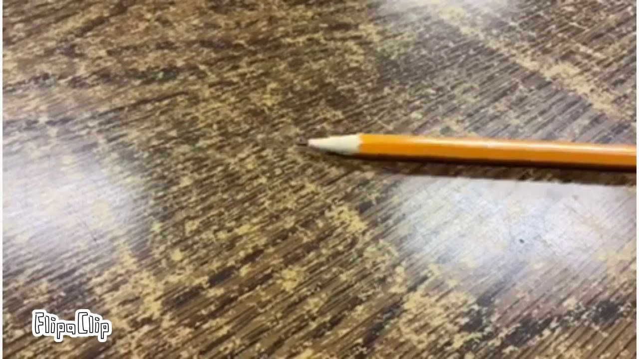 pencil l Animation to real life