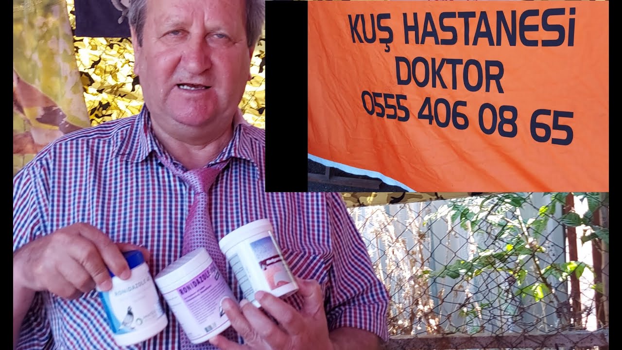 Kuşu Hasta Olanlar, Kuş Hastanesinden, Kuş Doktorunu Arasın.